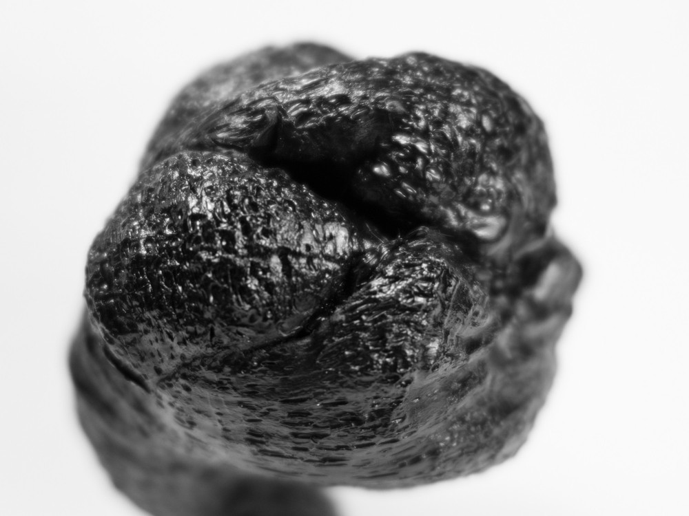 CORIUM, 2020