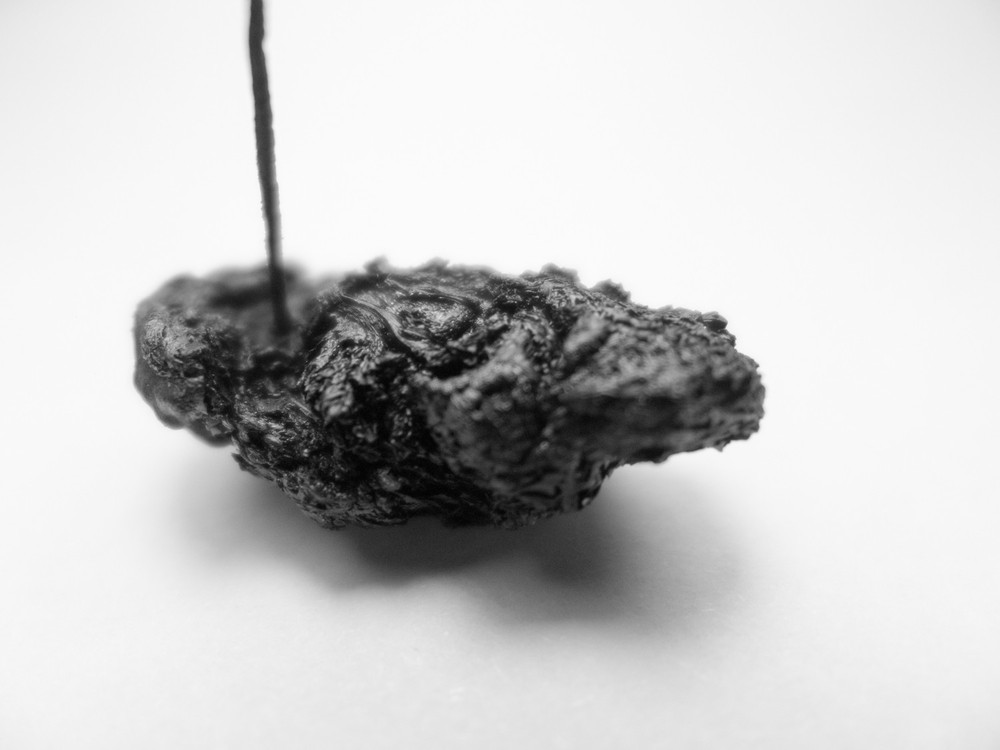 CORIUM, 2020