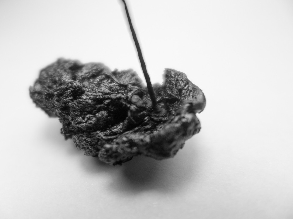 CORIUM, 2020