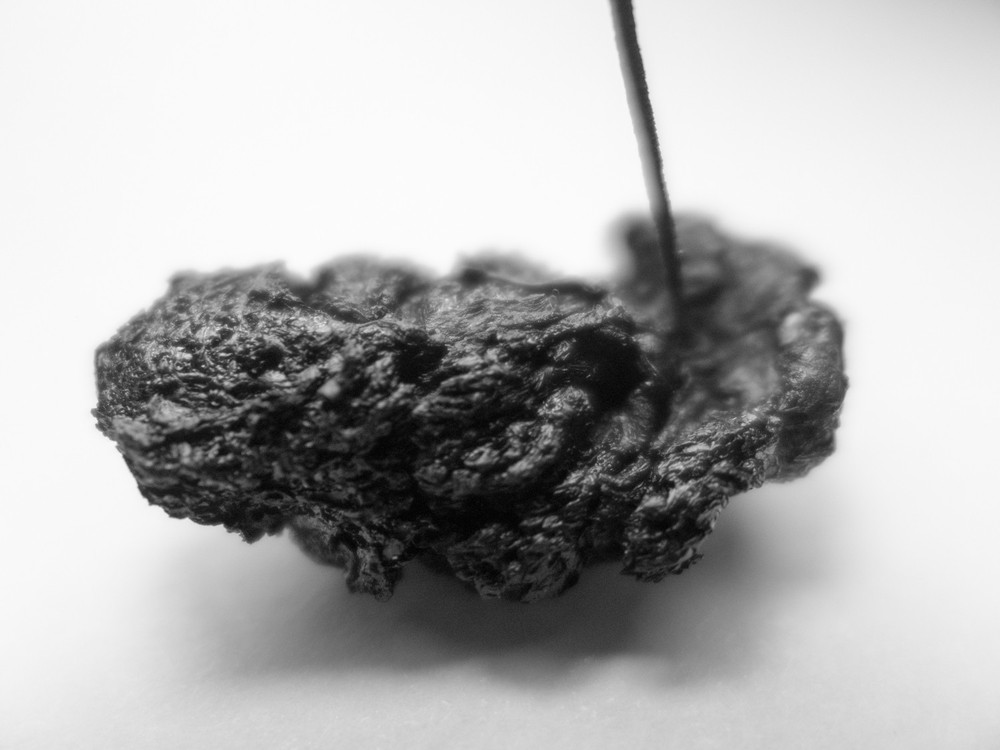 CORIUM, 2020