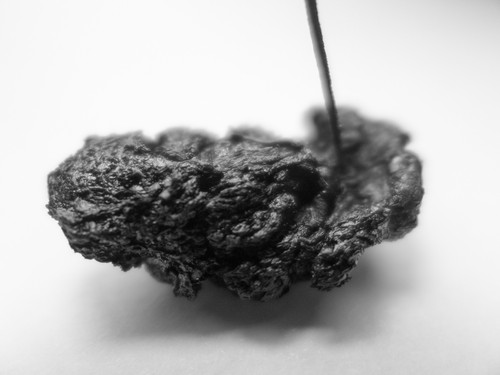 CORIUM, 2020