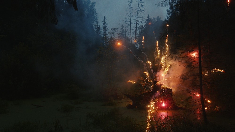 FIREWORKS ON THE SWAMP, 2021