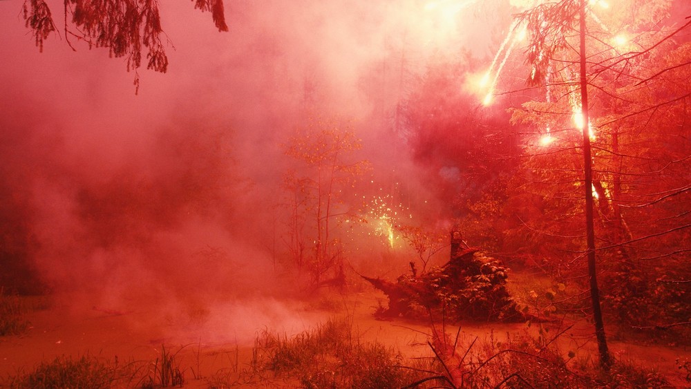 FIREWORKS ON THE SWAMP, 2021