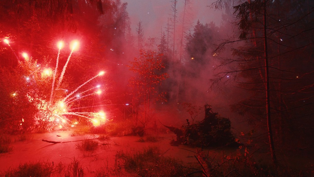 FIREWORKS ON THE SWAMP, 2021