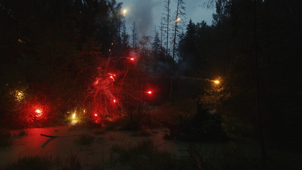 FIREWORKS ON THE SWAMP, 2021