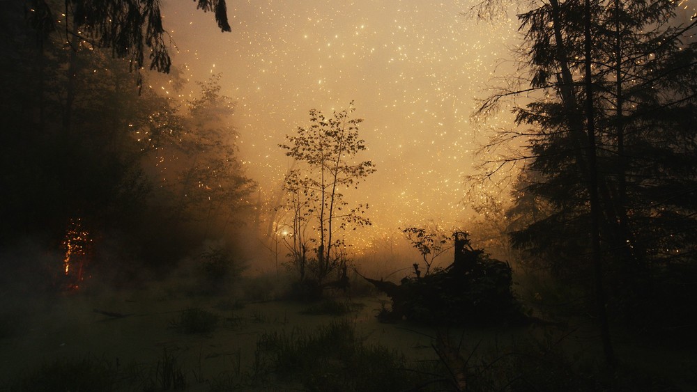 FIREWORKS ON THE SWAMP, 2021