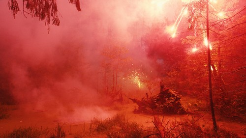 FIREWORKS ON THE SWAMP, 2021