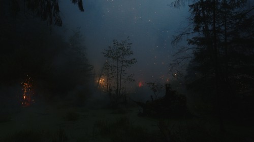 FIREWORKS ON THE SWAMP, 2021