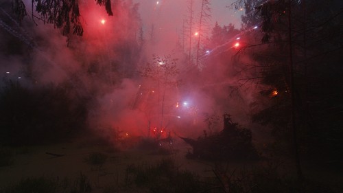 FIREWORKS ON THE SWAMP, 2021