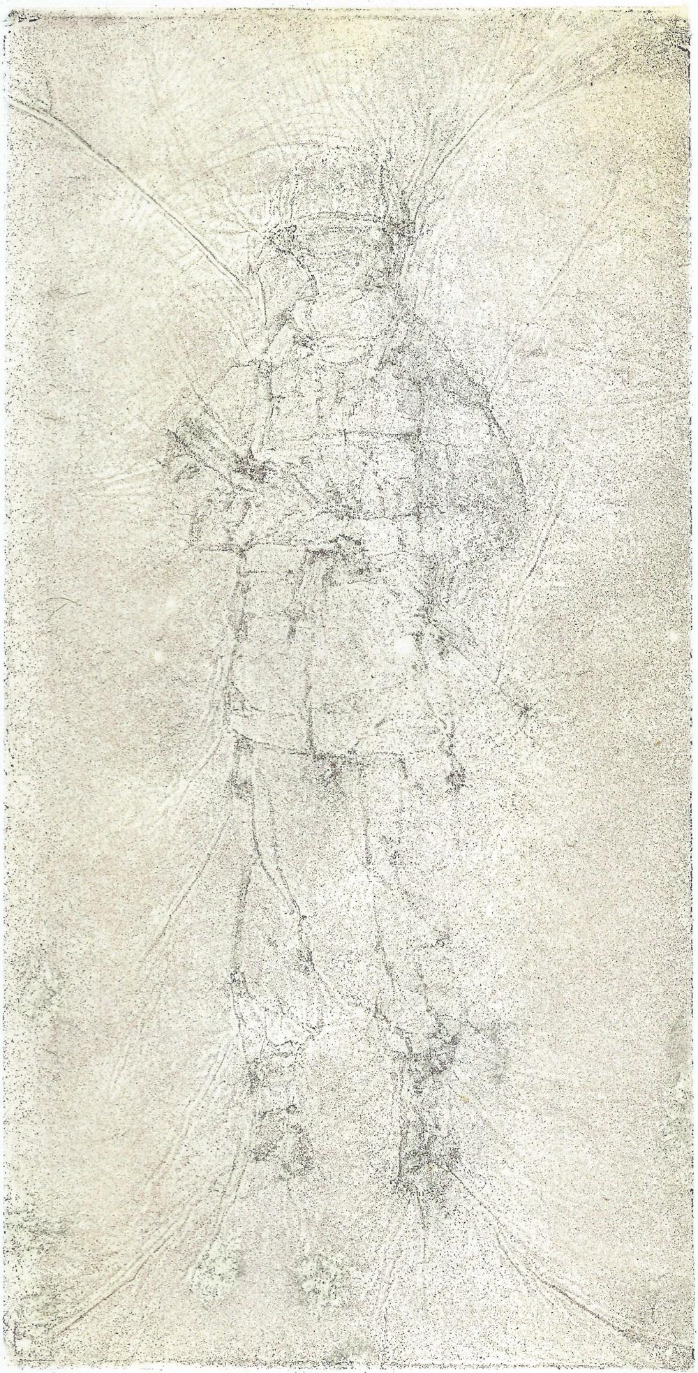 LAST SOLDIER, 2023