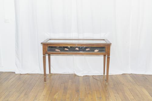 VEIL OF DAYS, Olga Kisseleva's studio, Paris, France, 2024