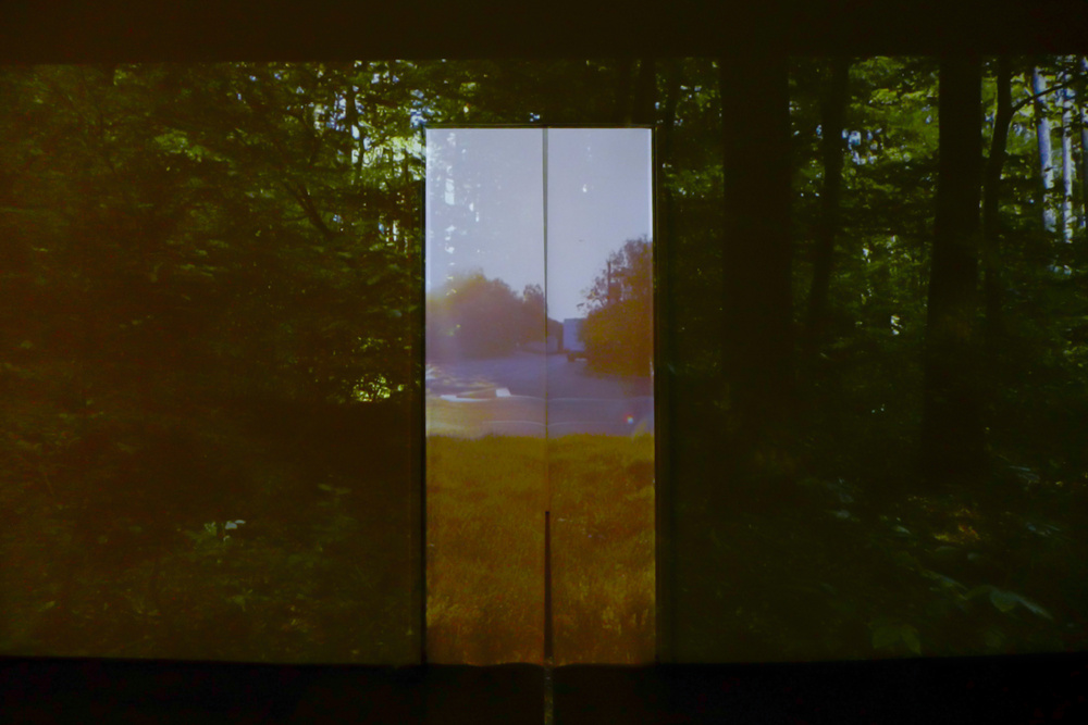 CONTEMPORARIES OF THE NEAR FUTURE, Wien, 2014