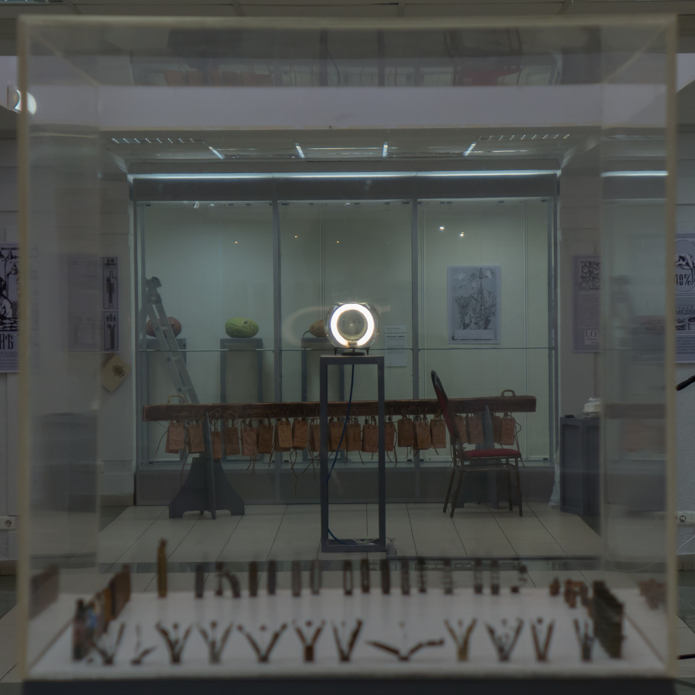 NIZHE NIZHNEGO, 2014-2017