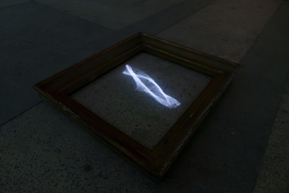 MILD LIGHT, Manifesta 10, Saint Petersburg, 2014