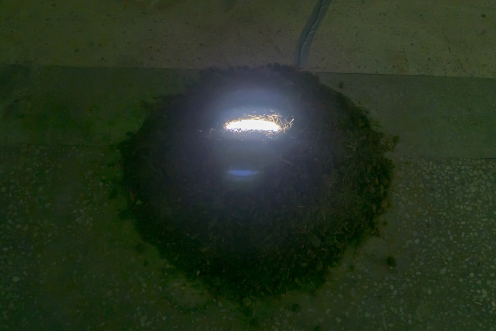 MILD LIGHT, Manifesta 10, Saint Petersburg, 2014