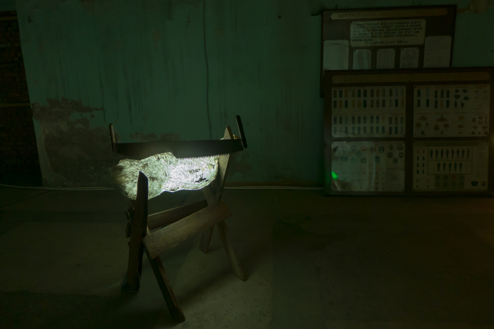 MILD LIGHT, Manifesta 10, Saint Petersburg, 2014