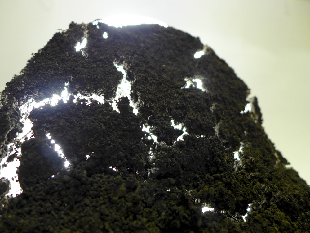 MILD LIGHT, 2012