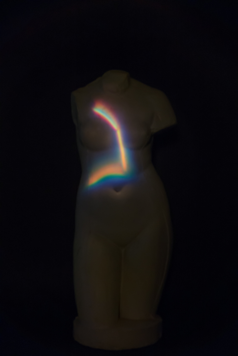 VENUS, 2013