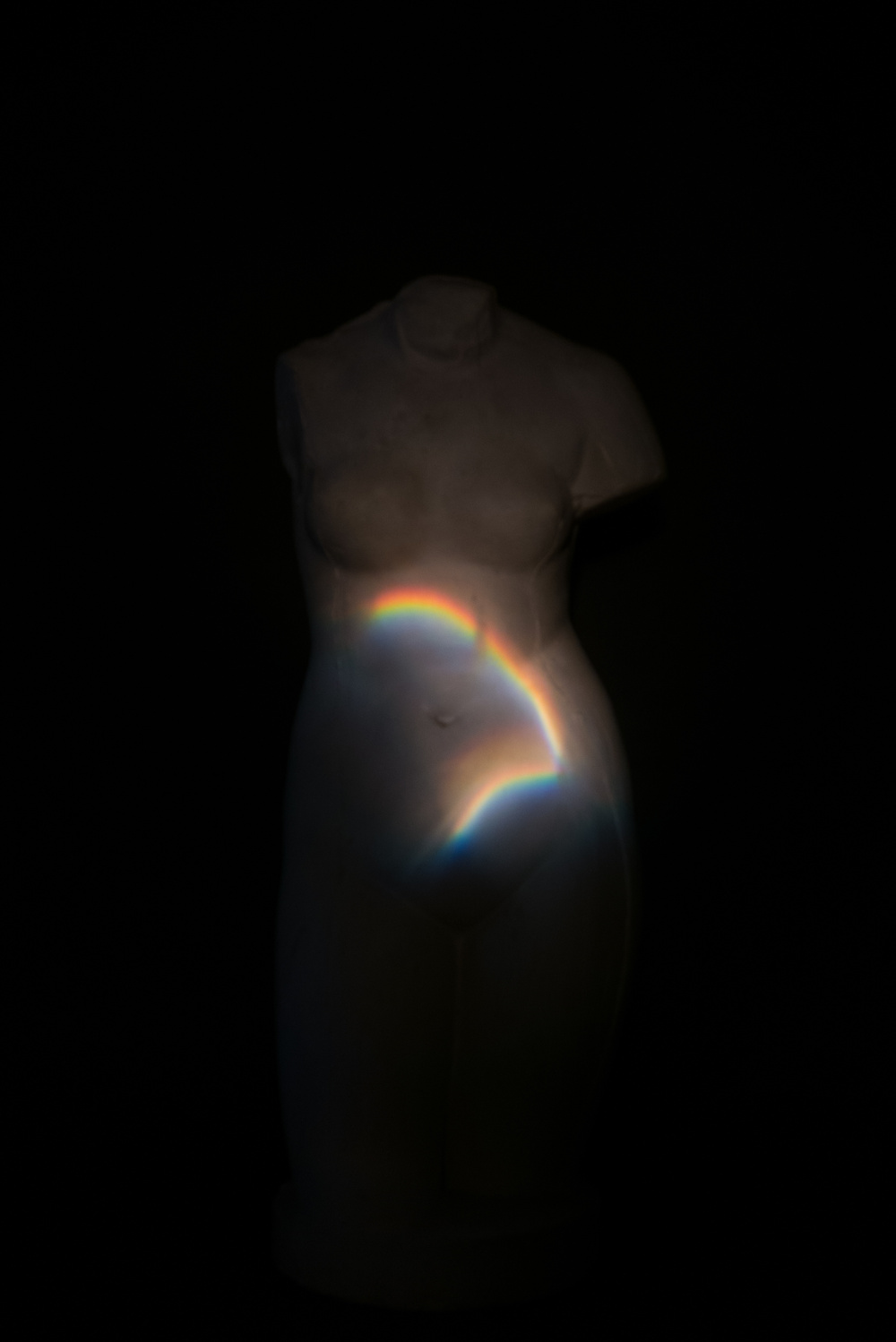 VENUS, 2013