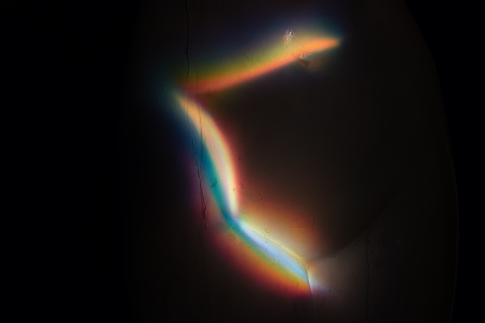 VENUS, 2013