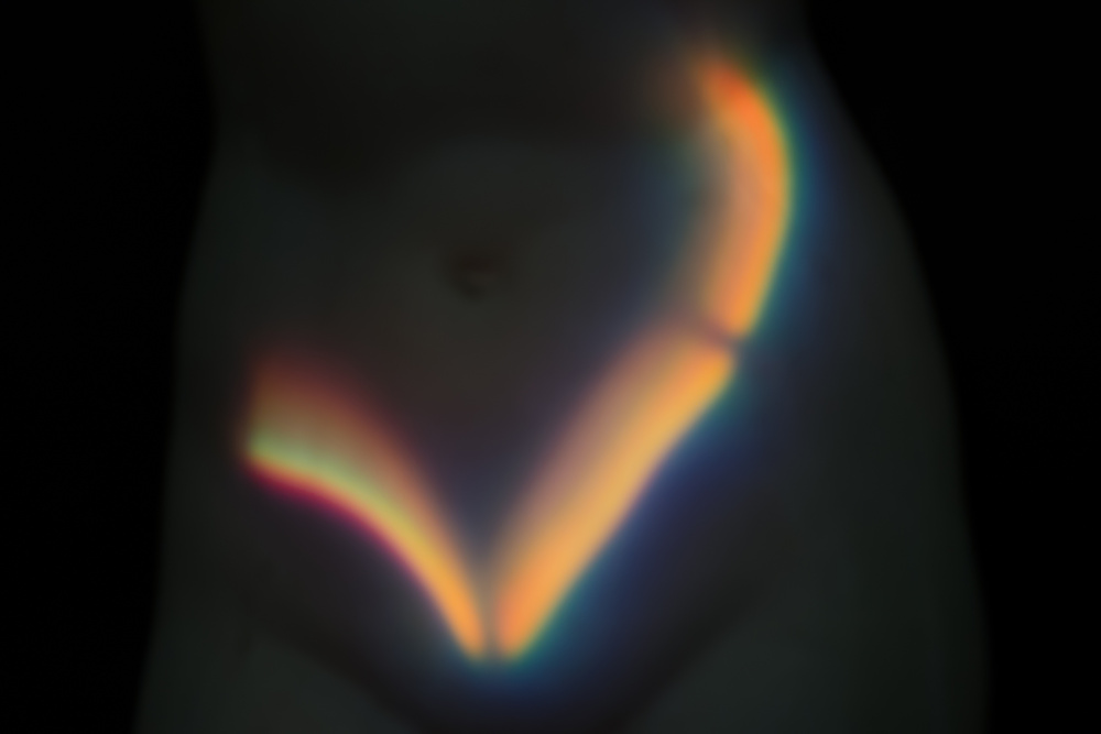 VENUS, 2013
