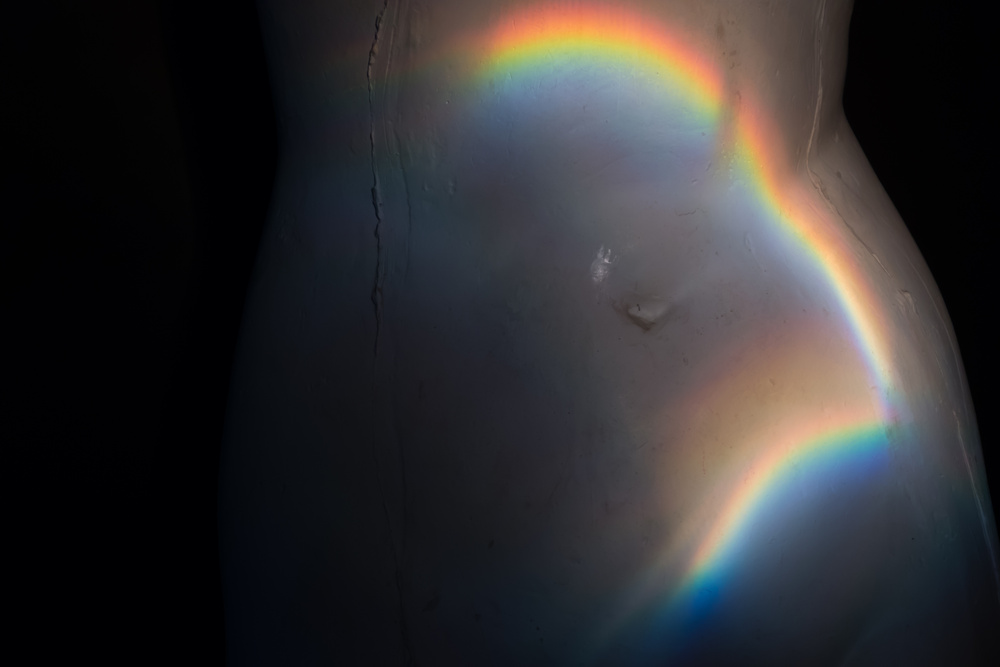 VENUS, 2013
