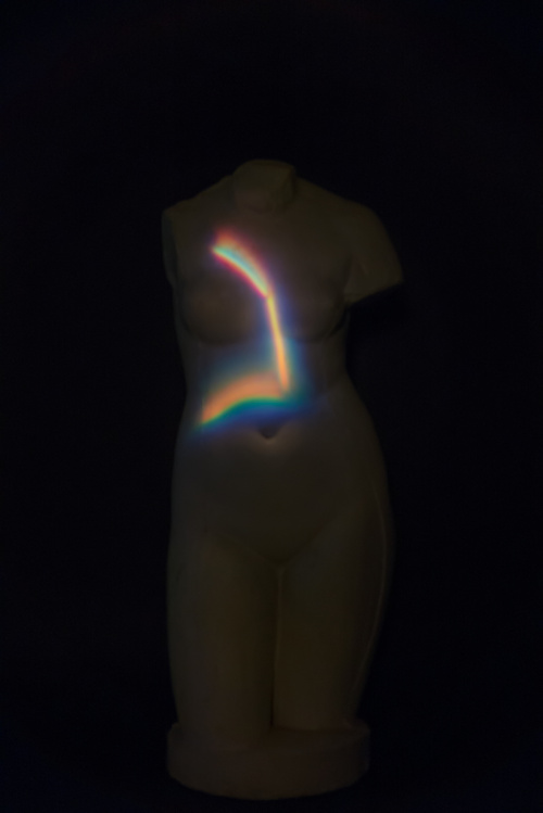 VENUS, 2013