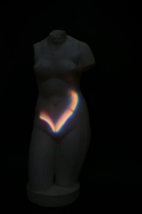 VENUS, 2013