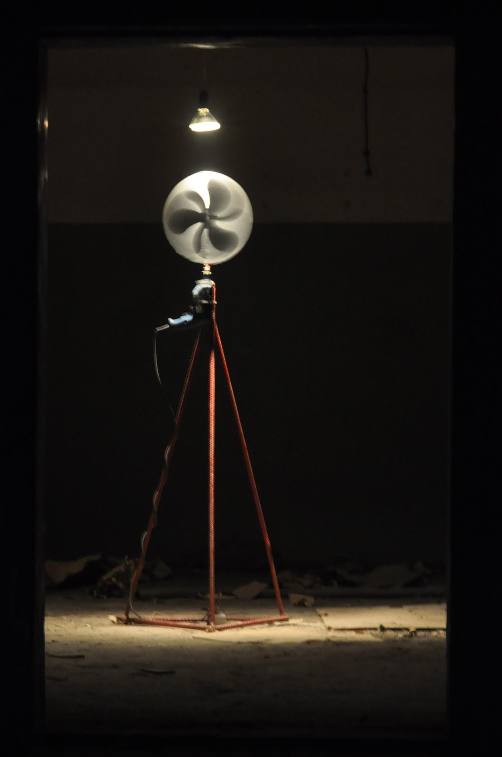 Animation day, 2011