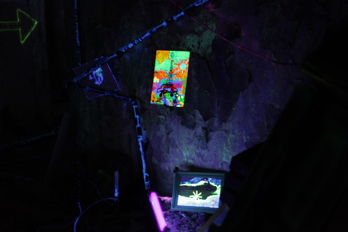 Art of modeling and nature of the game, 2011
