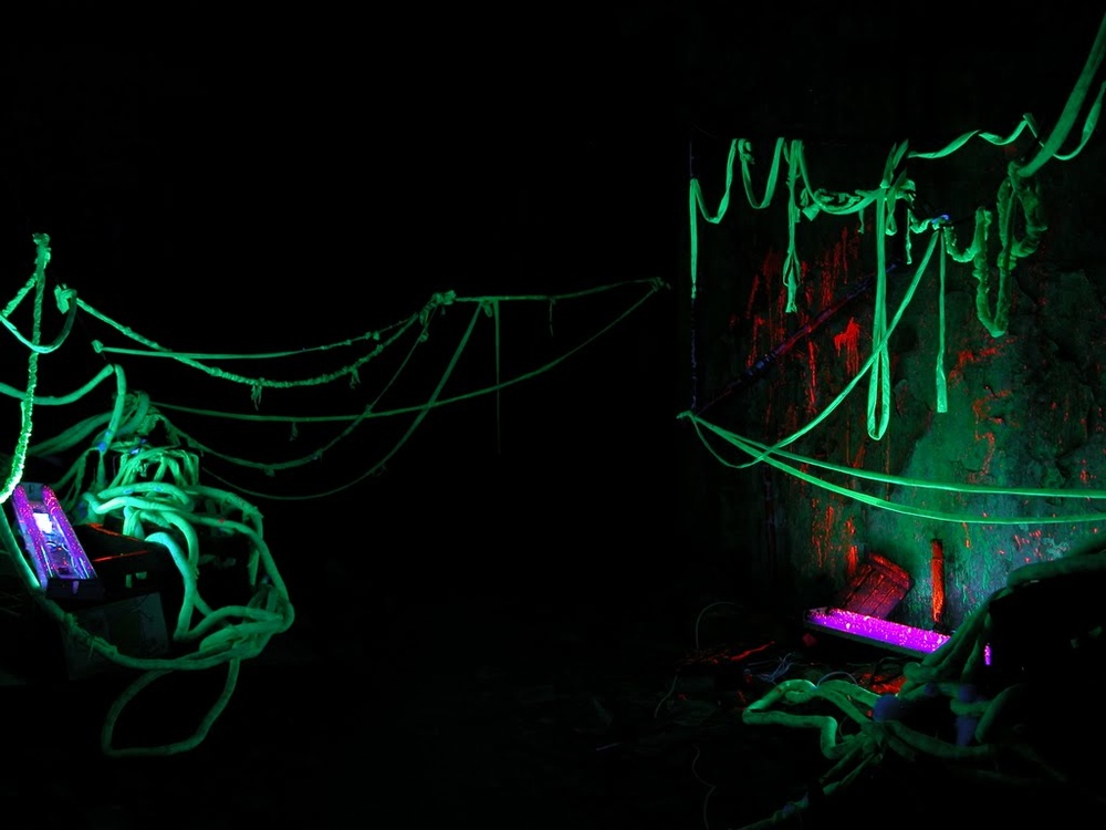 System Chaos, 2012