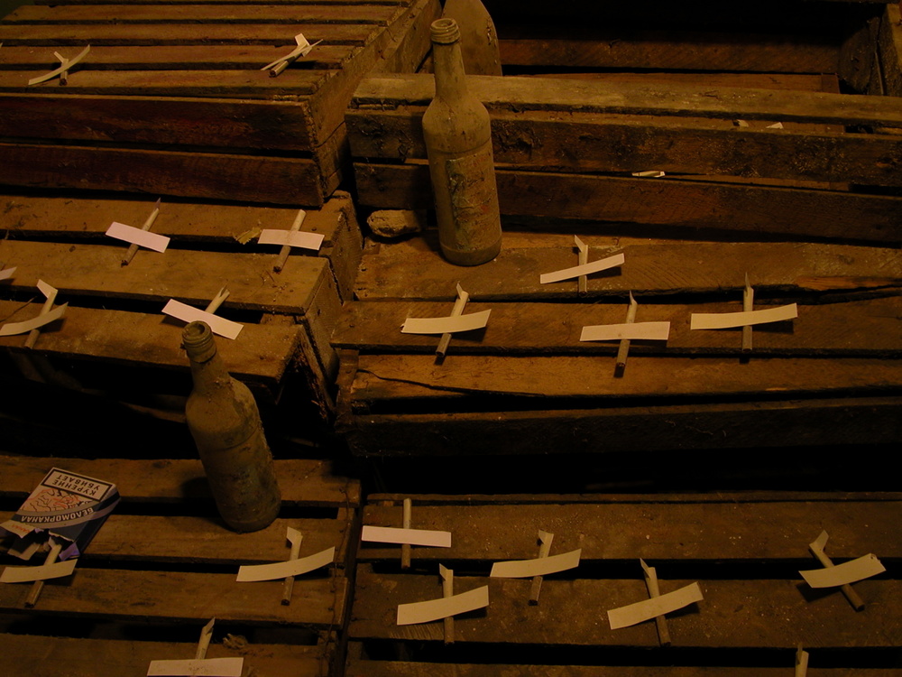 Song about motherland, 2012