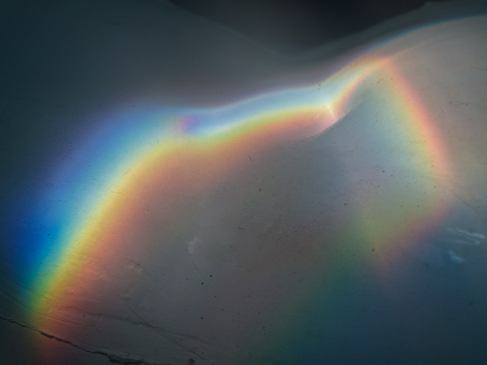 Window exhibition №5: Lyrical, 2013