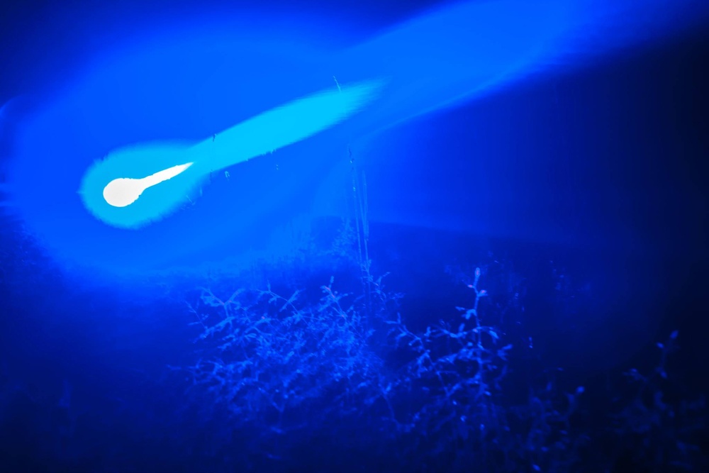 VOLUME IN SPACE, 2015