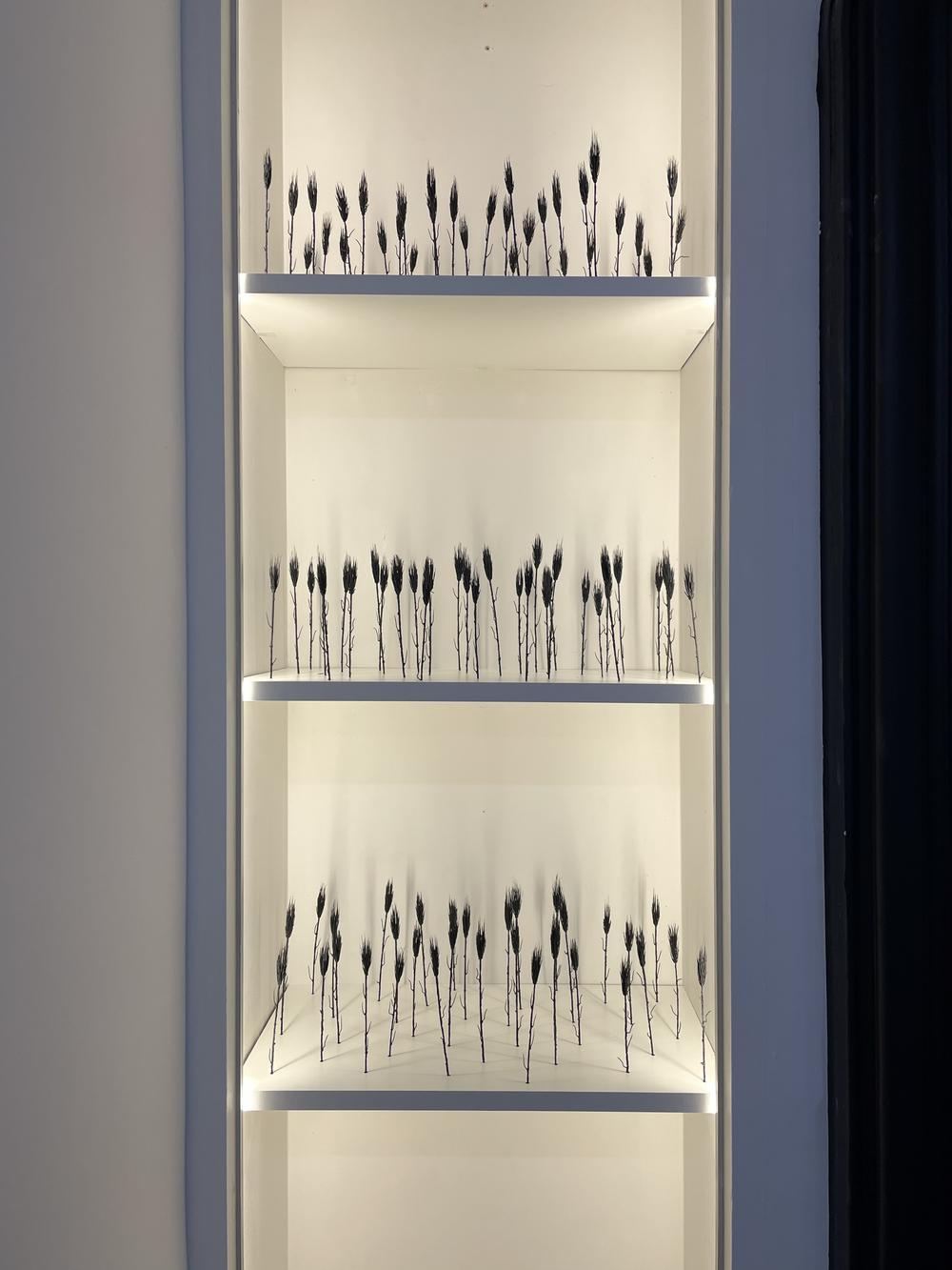 ANAMNESIA, Centre culturel Soljenitsyne, Paris, France, 2025