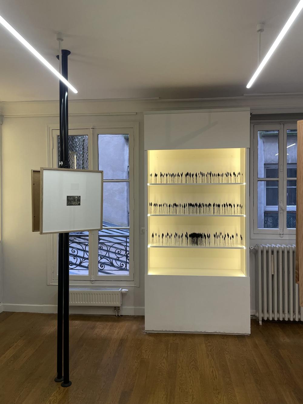 ANAMNESIA, Centre culturel Soljenitsyne, Paris, France, 2025