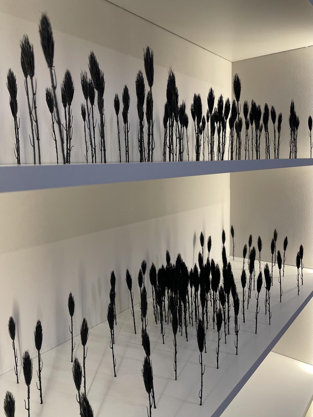 ANAMNESIA, Centre culturel Soljenitsyne, Paris, France, 2025