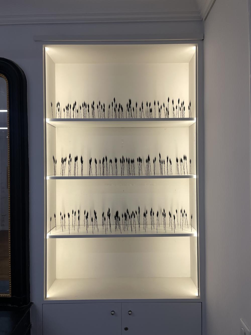 ANAMNESIA, Centre culturel Soljenitsyne, Paris, France, 2025