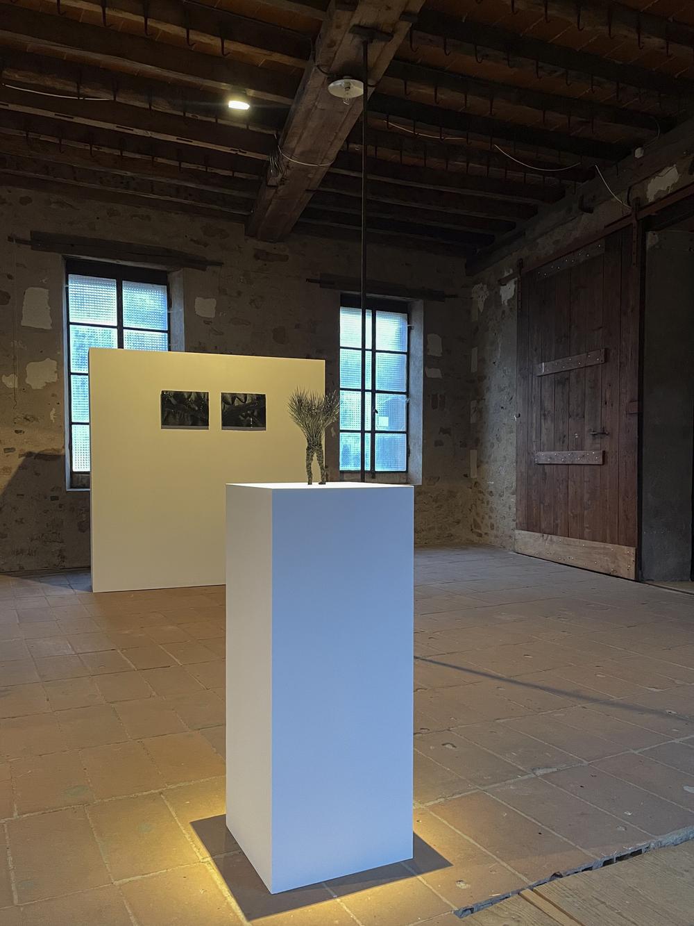 REMUE MÉNAGE À LA TANNERIE, Rhizome Association, Avallon, France, 2025