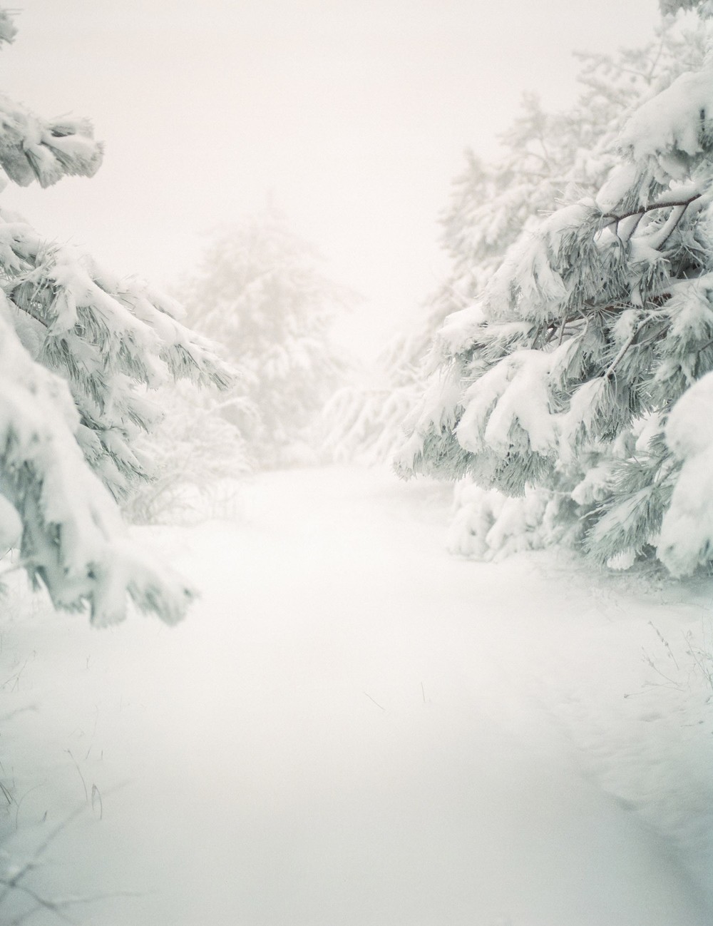 Winter story