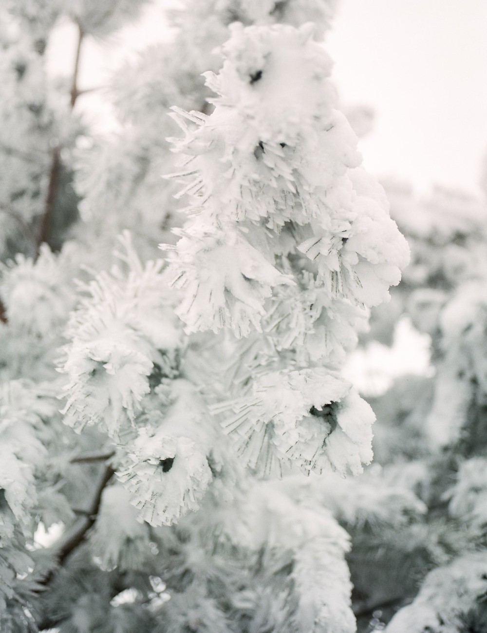 Winter story