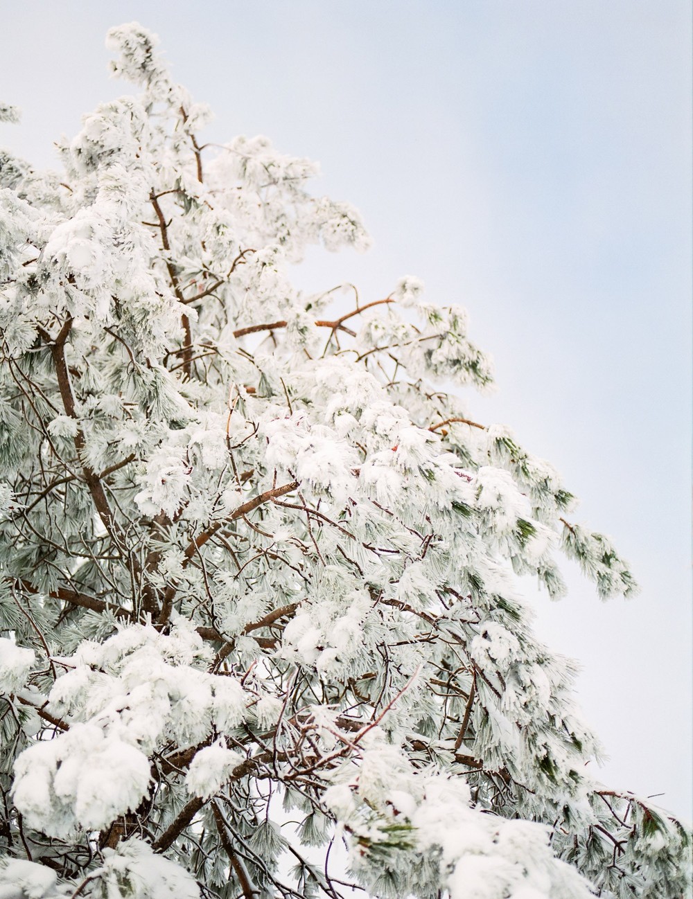 Winter story