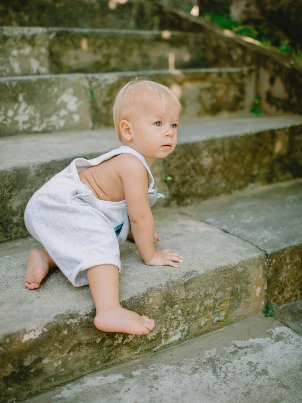 Little Platon