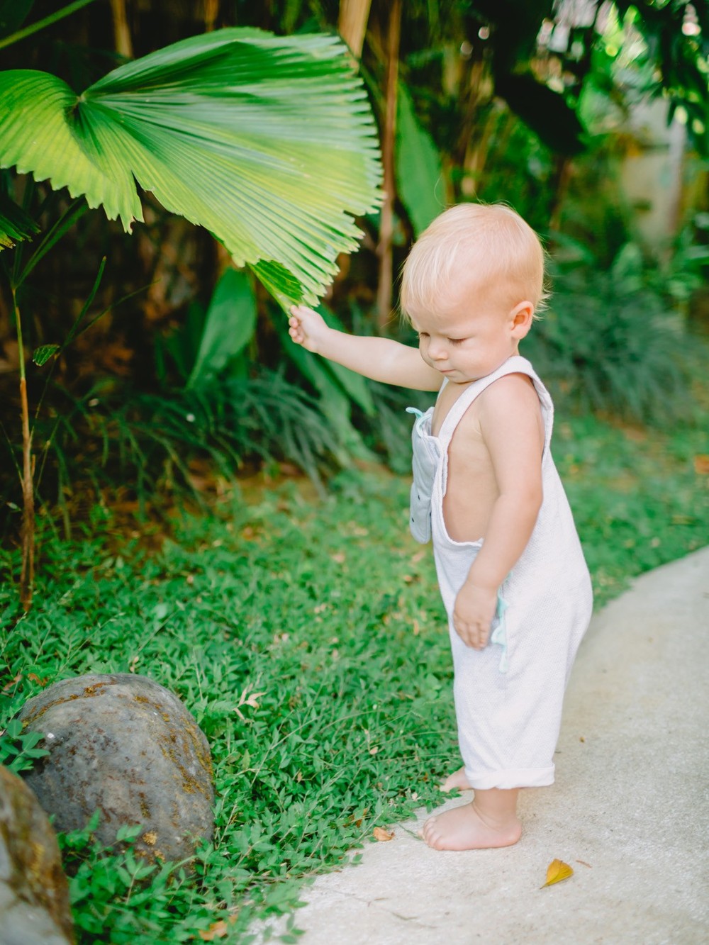 Little Platon