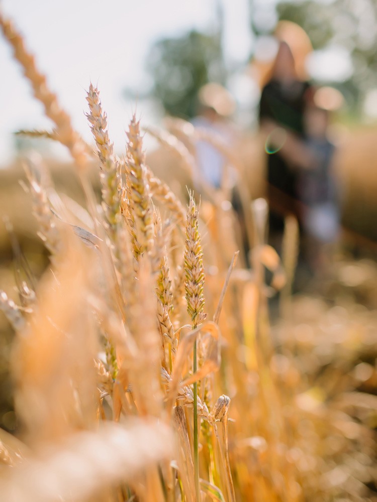 In the field