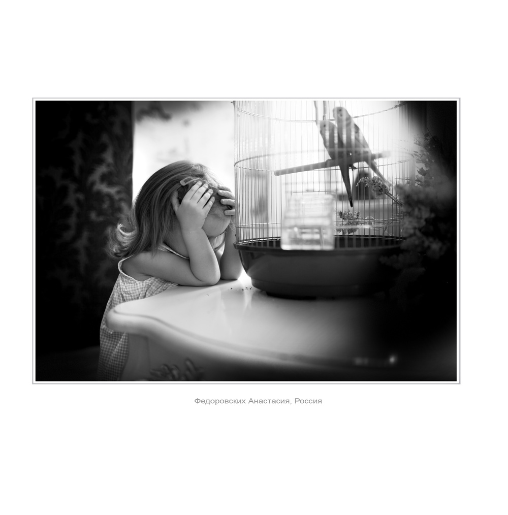 коллекция 2012 года