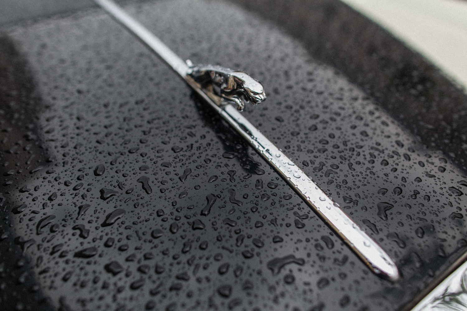 АНАСТАСИЯ + ЮРИЙ + Jaguar Daimler