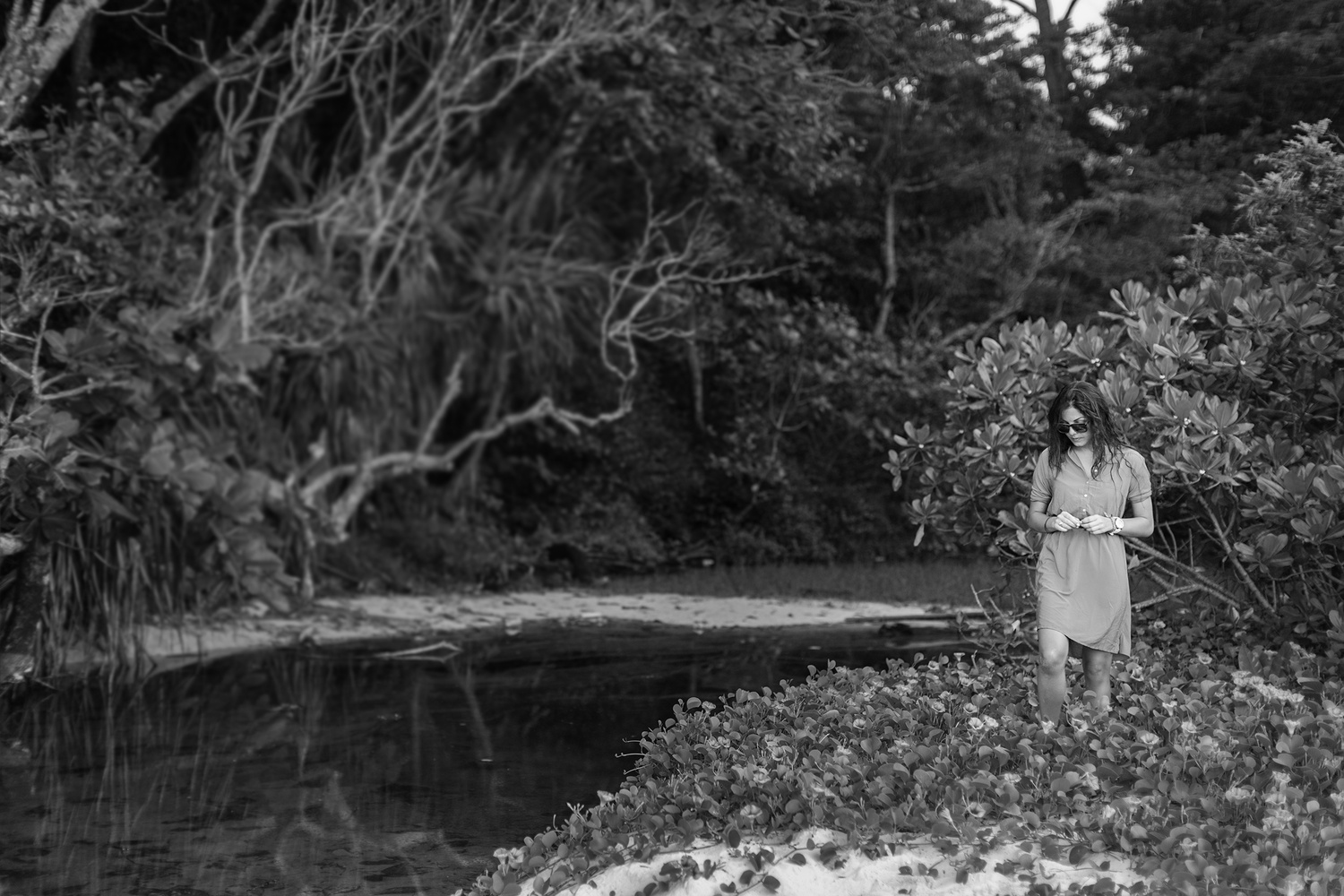 СИМИЛАНСКИЕ ОСТРОВА