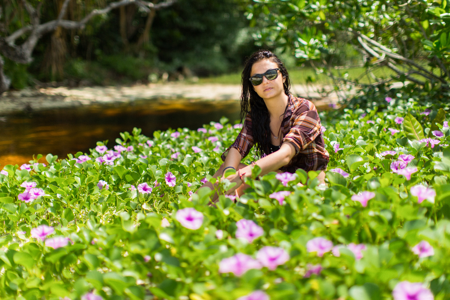 СИМИЛАНСКИЕ ОСТРОВА