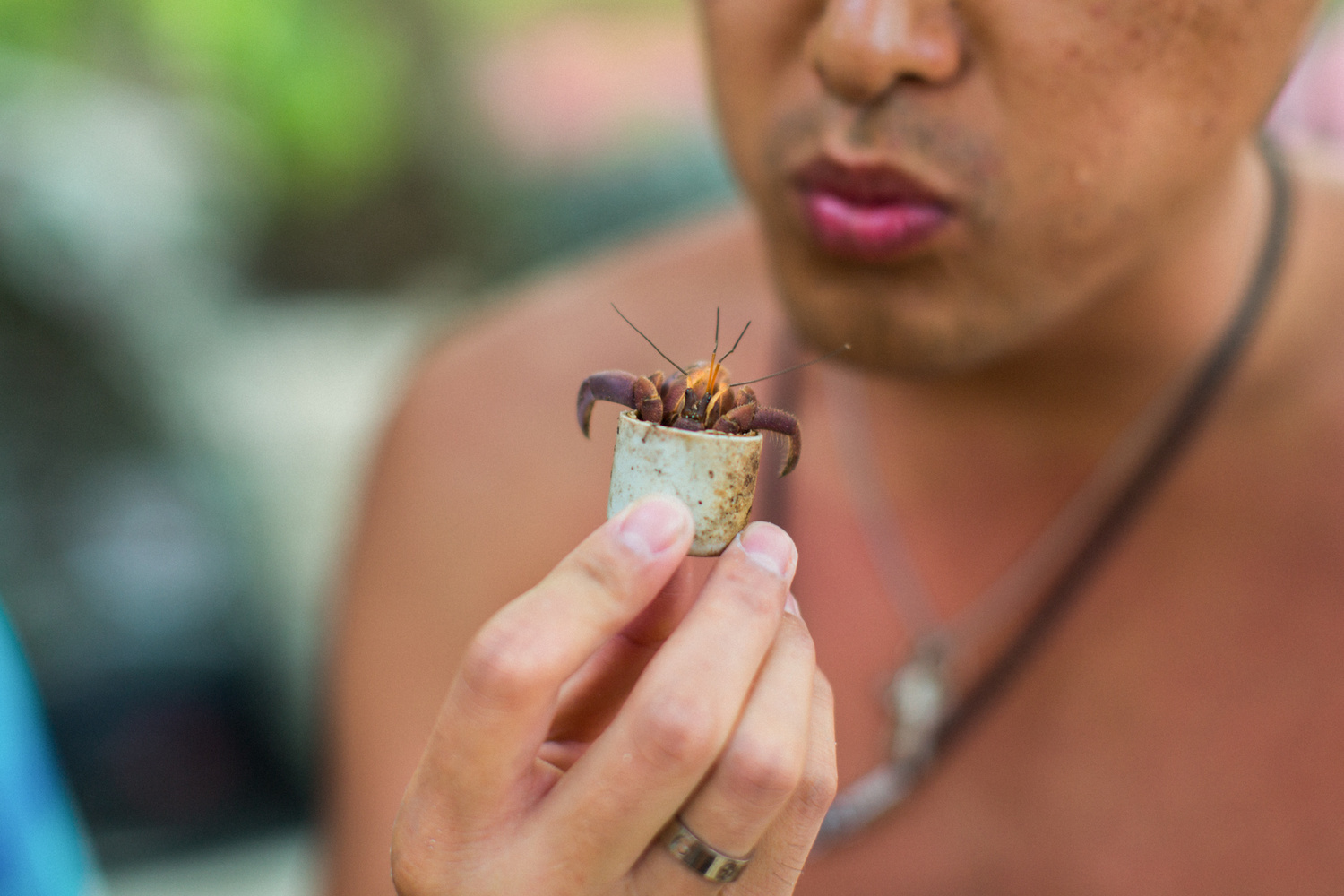 СИМИЛАНСКИЕ ОСТРОВА